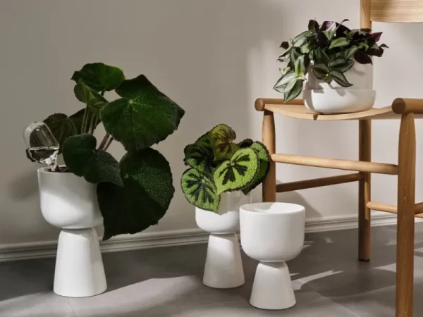 Iittala Garten^Bewässerungsbehälter von , 2 Stück