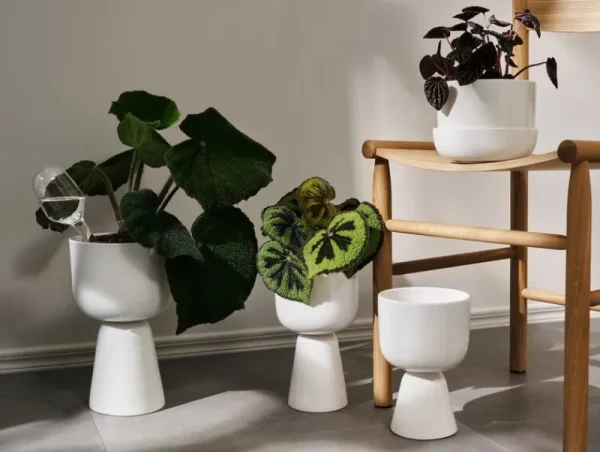 Iittala Garten^Bewässerungsbehälter von , 2 Stück