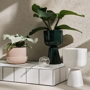 Iittala Indoor-gardening^Nappula Blumentopf mit Untersetzer, 170 × 130 mm, Beige