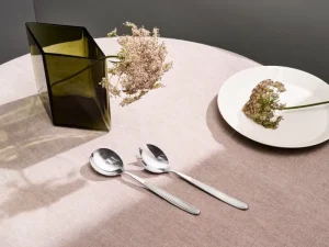 Iittala Servierutensilien^Scandia Servierset