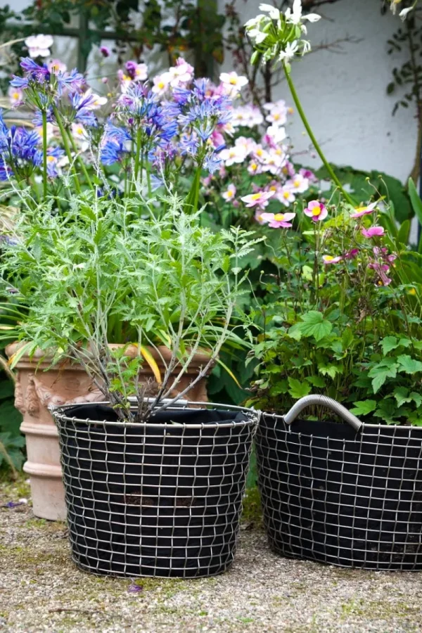 Korbo Garten^Planting Bag 24, 3 Stück