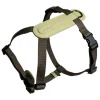 Masimalo Haustiere^Arch Gürtel, Light Sage - Khaki