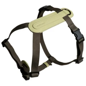 Masimalo Haustiere^Arch Gürtel, Light Sage - Khaki