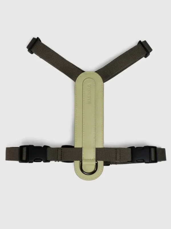 Masimalo Haustiere^Arch Gürtel, Light Sage - Khaki