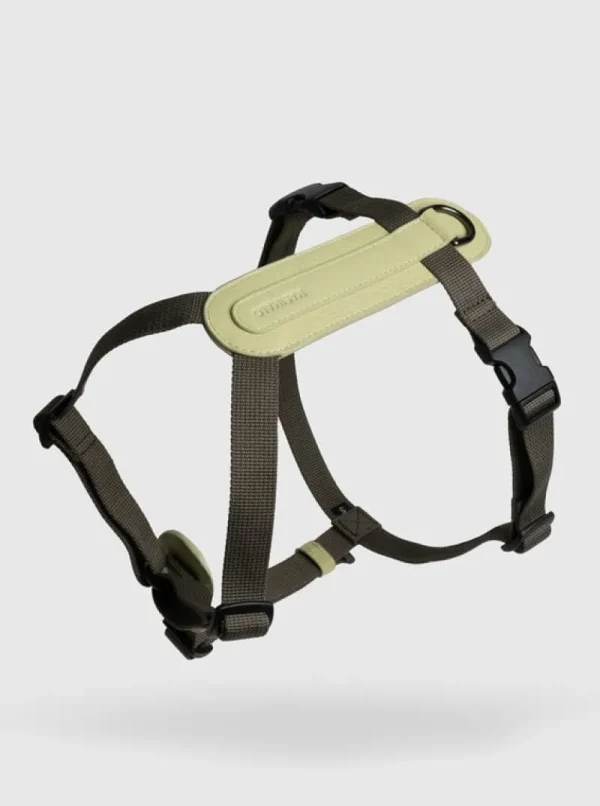 Masimalo Haustiere^Arch Gürtel, Light Sage - Khaki