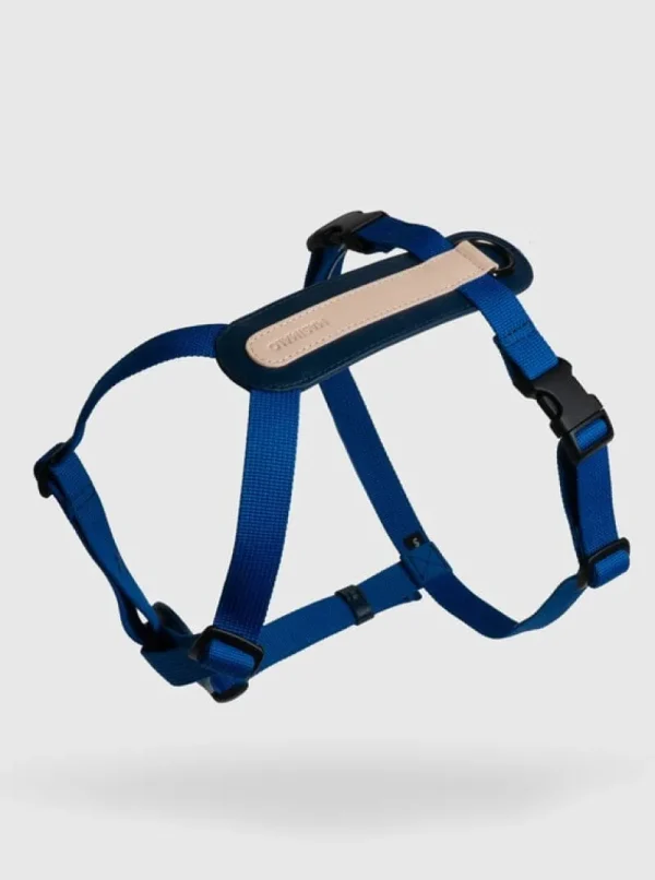Masimalo Haustiere^Arch-Geschirr, navy - Grandala-Blau
