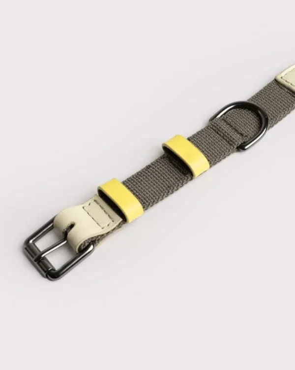 Masimalo Haustiere^Colour Block Halsband, light sage - khaki