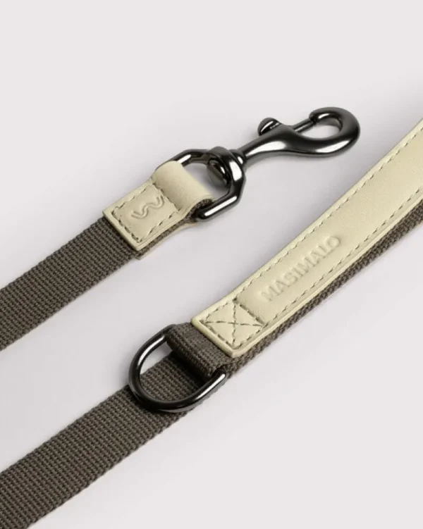 Masimalo Haustiere^Colour Block Leine, light sage - khaki