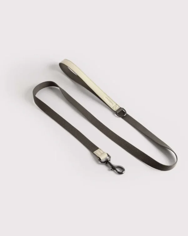 Masimalo Haustiere^Colour Block Leine, light sage - khaki