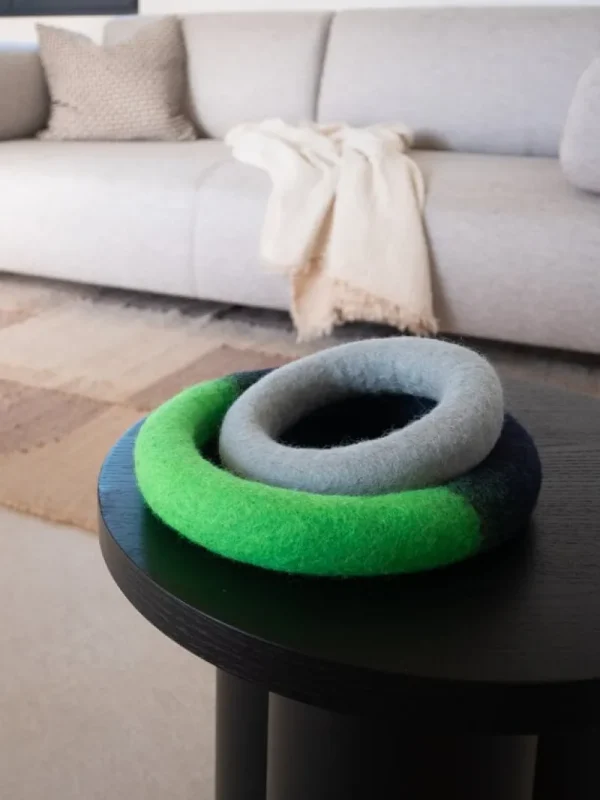 Masimalo Haustiere^Duo Circle Hundespielzeug, neon grün - blau