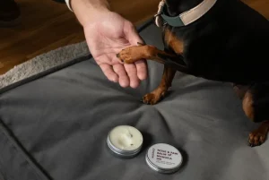 Masimalo Haustiere^Nose & Paw Balsam, 60 g, Manuka