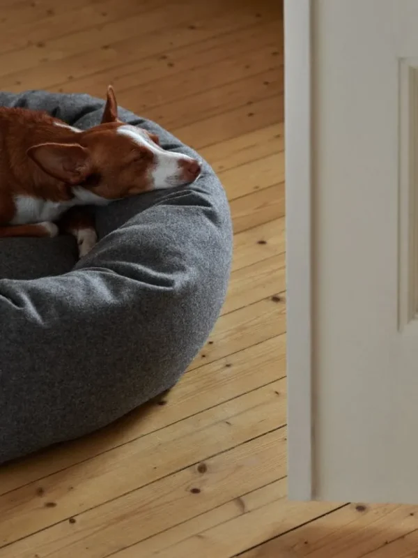 Matri Haustiere^Hundebett, M, Wooly, graphit