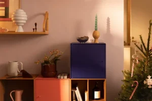 Nichba Regale-Montana Furniture Offenes Montana Mini Modul, 142 Bernstein