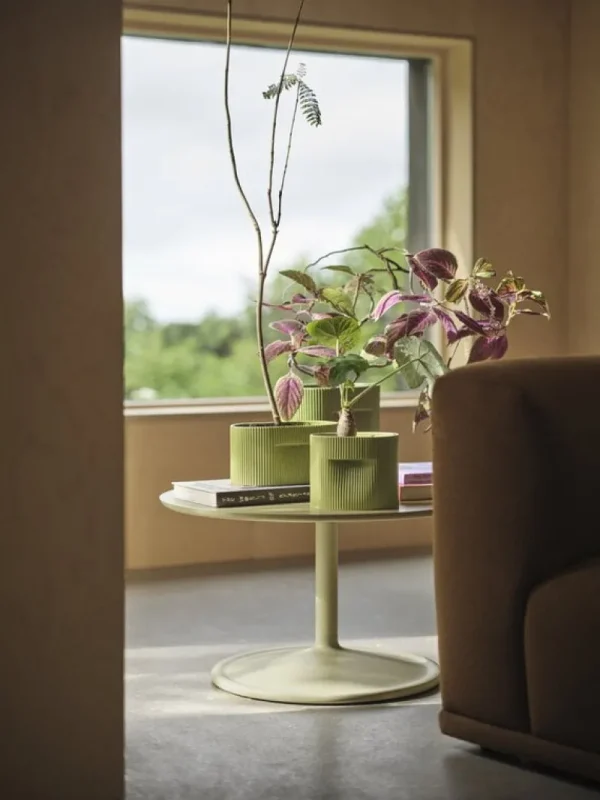 Muuto Indoor-gardening^Ridge Blumentopf, H 13 cm, moosgrün