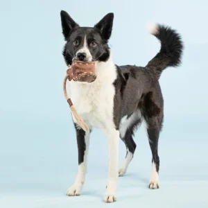 PAIKKA Haustiere^Ball Tug Toy