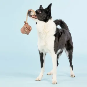 PAIKKA Haustiere^Ball Tug Toy