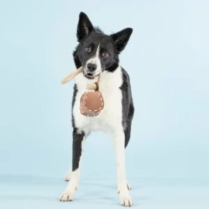 PAIKKA Haustiere^Ball Tug Toy