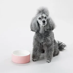 PAIKKA Haustiere^Cool Napf M, Rosa