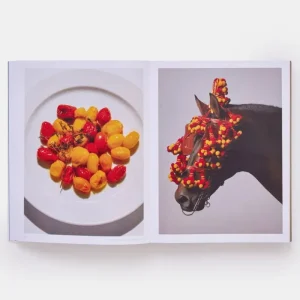 Kinder Phaidon Kinderbücher | Speisen^The River Cafe Look Book, Recipes for Kids of all Ages