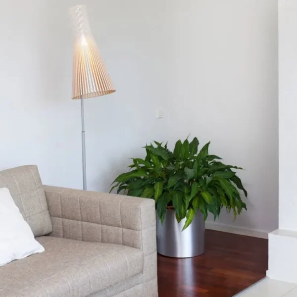 Artemide Stehleuchten-Secto Design Secto 4210 Stehleuchte, Birke natur