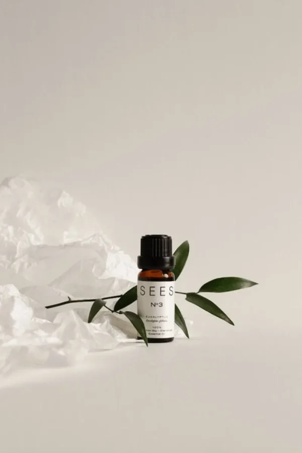 SEES Company Hygiene- Und Kosmetikprodukte^Set aus Duftstein und ätherischem Öl, 10 ml, Eukalyptus