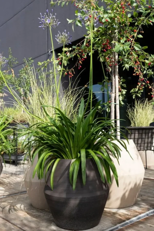 Serax Garten^Construct Topf S, Schwarz