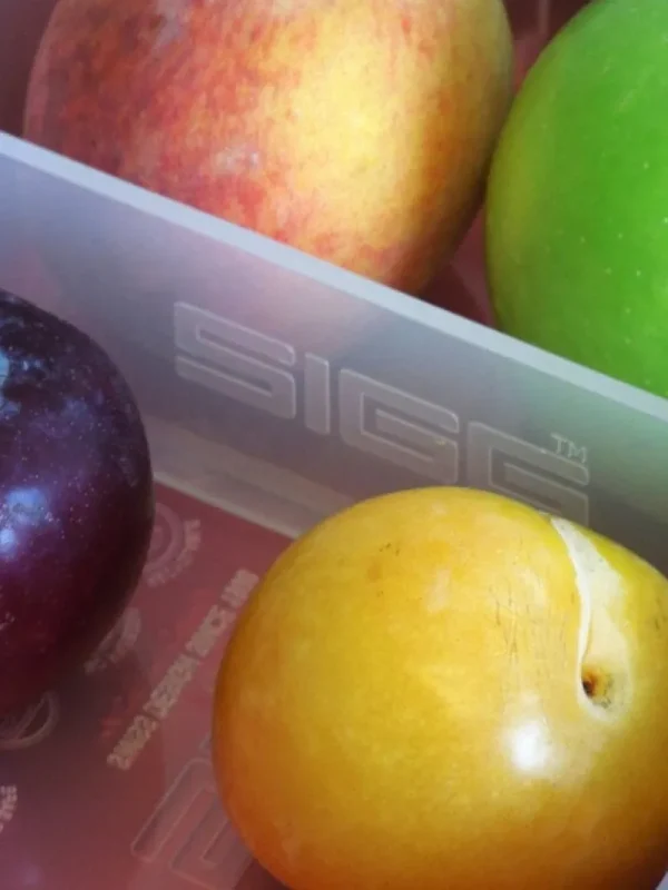 SIGG Sport- Und Outdoor-produkte^Metal Box Plus, S, Aluminium