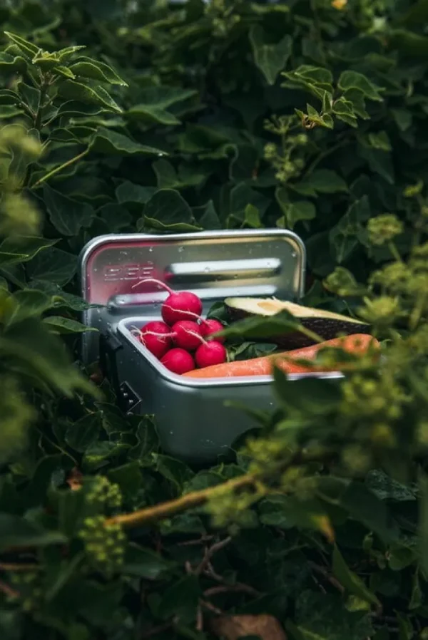 SIGG Sport- Und Outdoor-produkte^Metal Box Plus, L, Aluminium