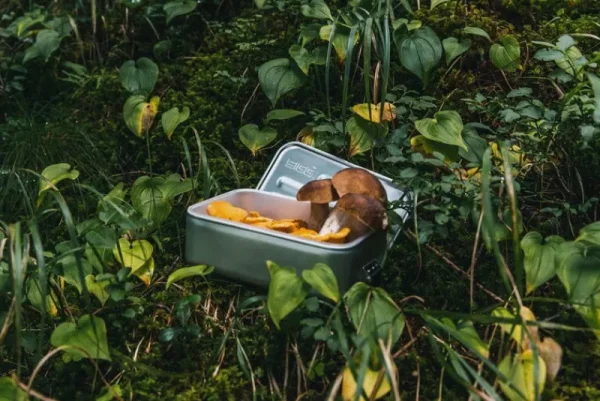 SIGG Sport- Und Outdoor-produkte^Metal Box Plus, S, Aluminium
