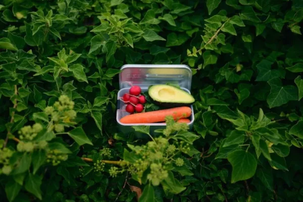 SIGG Sport- Und Outdoor-produkte^Metal Box Plus, S, Aluminium