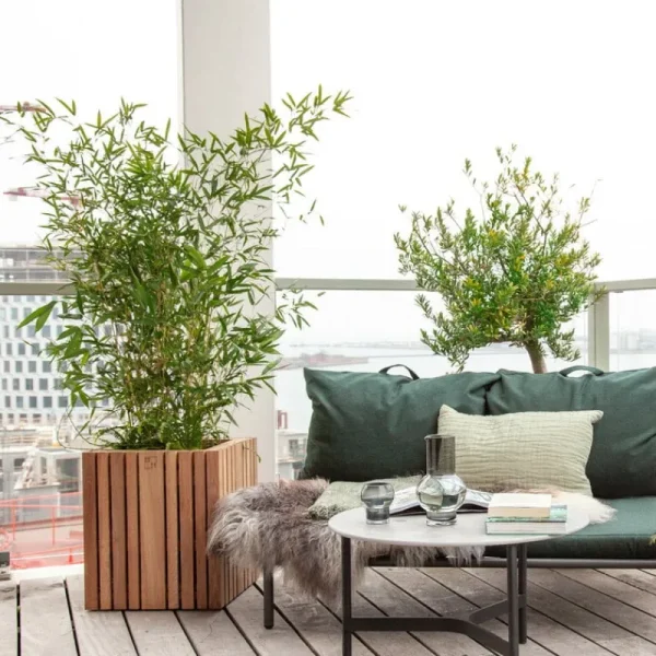 Squarely Copenhagen Garten^GrowBIG Pflanzgefäß, dunkle Eiche