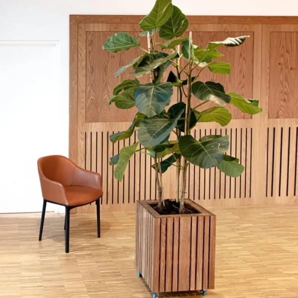 Squarely Copenhagen Garten^GrowBIG Pflanzgefäß, dunkle Eiche
