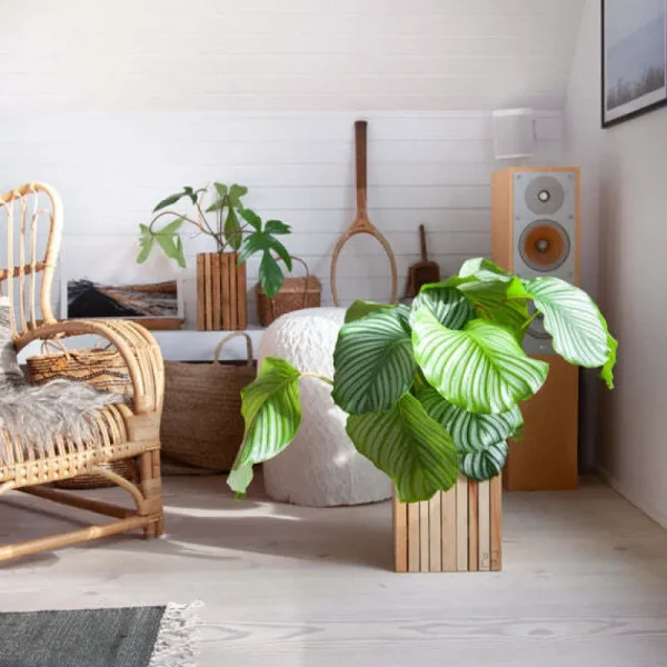 Squarely Copenhagen Garten^GrowMORE Pflanzgefäß, Esche geölt