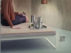 Stelton Servierutensilien^Arne Jacobsen Eiszange