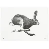 Teemu Ju00e4rvi Illustrations Poster Und Pinnwände^Teemu Järvi Illustrations Hare Poster, 70 x 50 cm