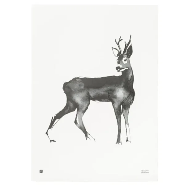 Teemu Ju00e4rvi Illustrations Poster Und Pinnwände^Teemu Järvi Illustrations Deer Poster, 50 x 70 cm
