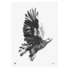 Teemu Ju00e4rvi Illustrations Poster Und Pinnwände^Teemu Järvi Illustrations Eagle Poster, 50 x 70 cm