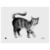 Teemu Ju00e4rvi Illustrations Poster Und Pinnwände^Teemu Järvi Illustrations Cat Poster, 40 x 30 cm