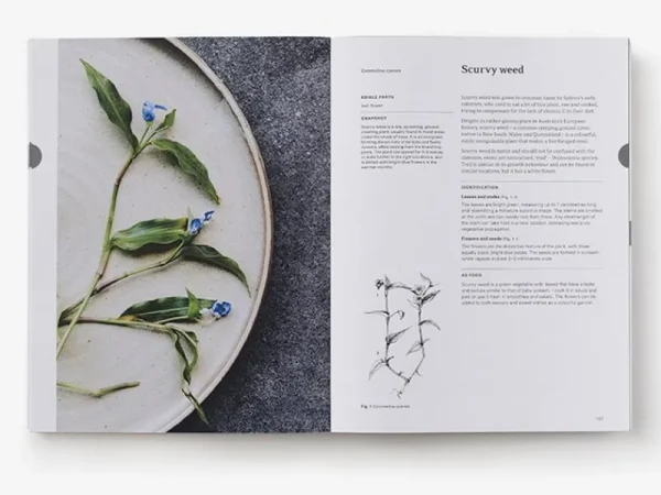 Thames & Hudson Speisen^Thames & Hudson Eat Weeds