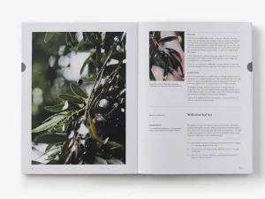 Thames & Hudson Speisen^Thames & Hudson Eat Weeds