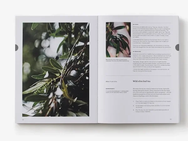 Thames & Hudson Speisen^Thames & Hudson Eat Weeds