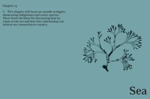Thames & Hudson Speisen^Thames & Hudson Eat Weeds