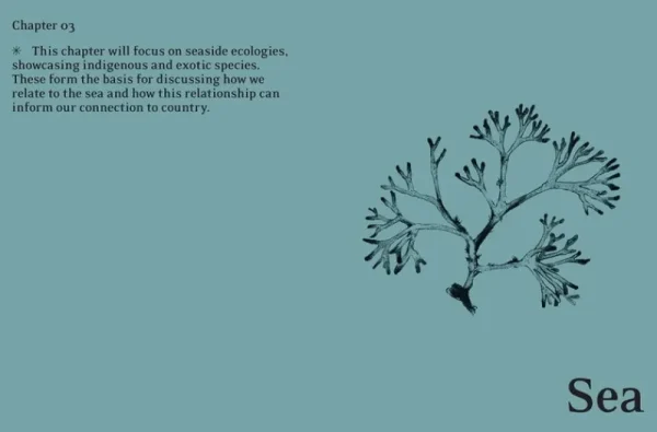 Thames & Hudson Speisen^Thames & Hudson Eat Weeds