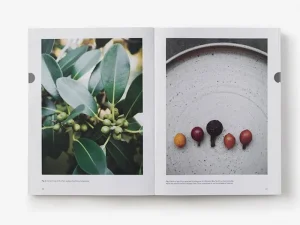 Thames & Hudson Speisen^Thames & Hudson Eat Weeds