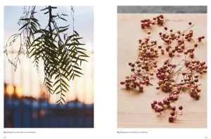 Thames & Hudson Speisen^Thames & Hudson Eat Weeds