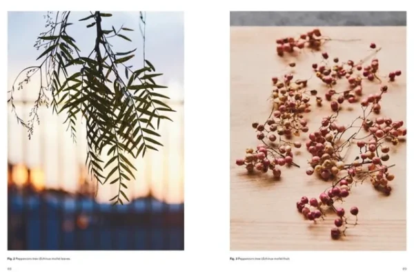 Thames & Hudson Speisen^Thames & Hudson Eat Weeds