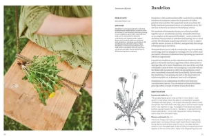 Thames & Hudson Speisen^Thames & Hudson Eat Weeds