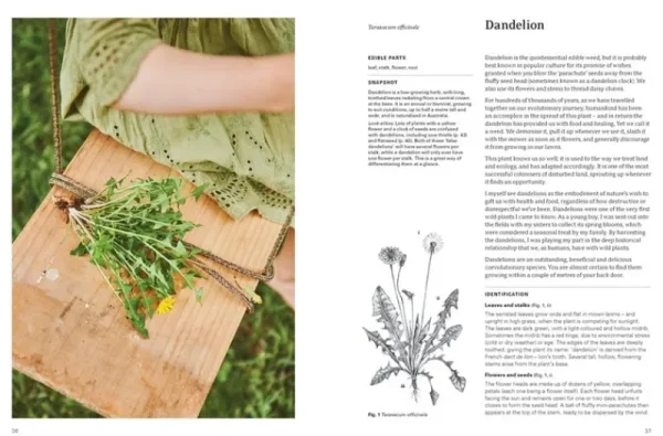 Thames & Hudson Speisen^Thames & Hudson Eat Weeds