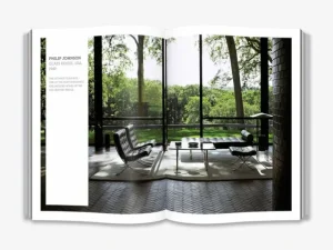 Thames & Hudson Architektur^Thames & Hudson Mid-Century Modern Design