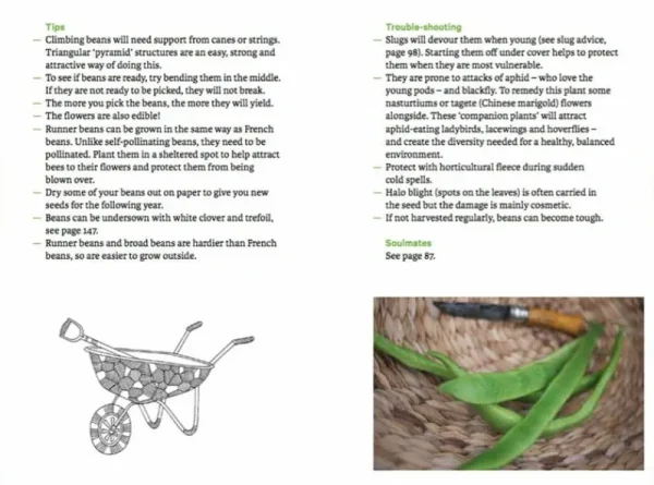 The Do Book Co Speisen^Do Grow: Start with 10 simple vegetables